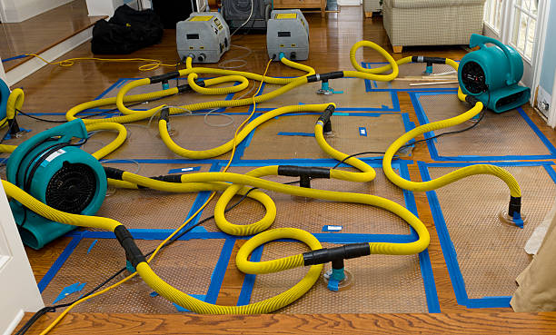 Professional Structural Drying And Dehumidification technician working in Greenwood, NE